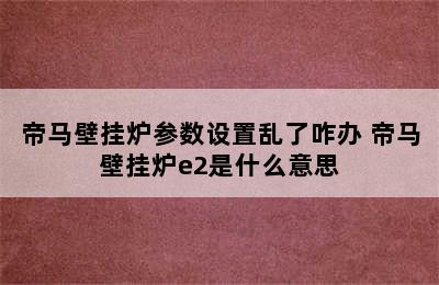 帝马壁挂炉参数设置乱了咋办 帝马壁挂炉e2是什么意思